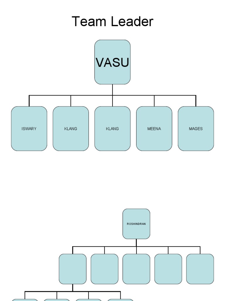 Team Leader Overview: VASU's Role | PDF