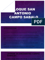 PDF Bloque San Antonio Campos Sabalo DL
