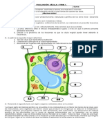 Evaluación Célula - Tema 1