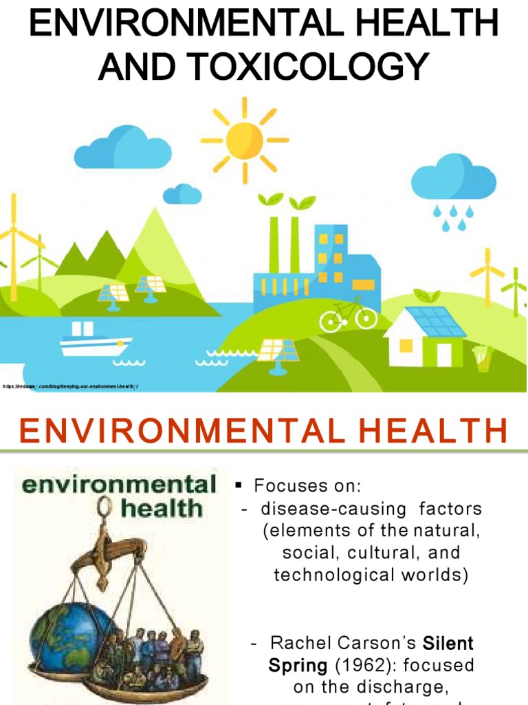 Environmental Health and Toxicology Overview | PDF | Risk ...