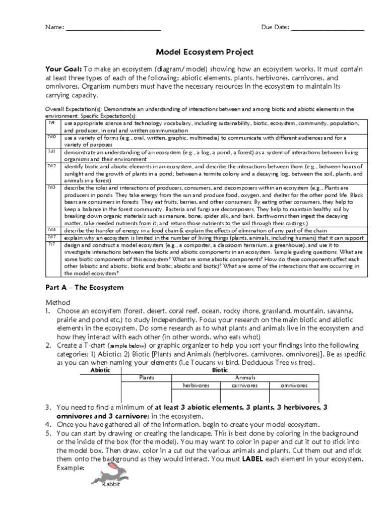Ecosystem Model Project Guidelines | PDF | Ecosystem | Herbivore
