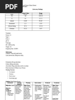 Chronic Renal Failure Nursing Care Plan