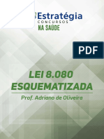 Lei 8080 Esquematizada1