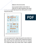 Perbedaan Virus Dna Dan Rna