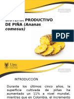 289936892 Cultivo de Pina