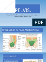 Pelvis.: Moore, Keith. Clinically Oriented Anatomy. Seventh Edition. Lippincott Williams & Wilkins. Baltimore. 2014