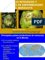 145468118 Maracuya Enfermedades PDF