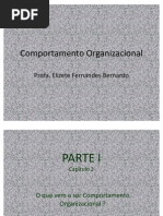 Comportamento Organizacional - Capítulo 2