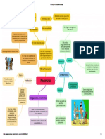 Mapa Mental 1