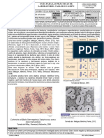 Guia Lab Biologia Aplicada Bacterias Proca 202150