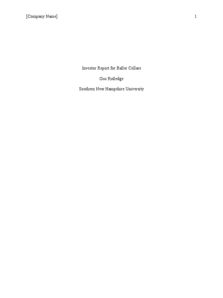 ACC 202 Investor Report Template PDF Business Economies