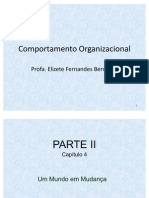 Comportamento Organizacional - Capítulo 4