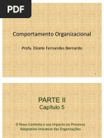 Comportamento Organizacional - Capítulo 5