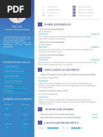 Professional Blue Resume Template 2020