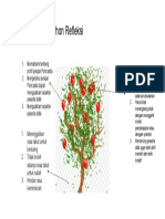 Ayu Alfiah 3.4.c. Refleksi Terbimbing