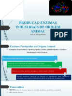 Produção Enzimas Industriais de Origem Animal