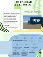 Informe de Humedales de Eten