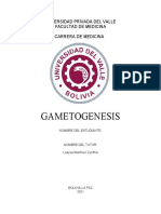 Monografía gametogénesis