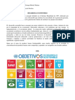 PRACTICO 1 Desarrollo Sostenible