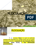 3 Floculao