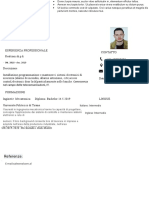 83-curriculum-vitae-professionale