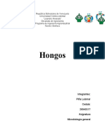 Hongos