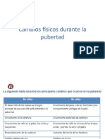 Cambios Físicos Durante La Pubertad