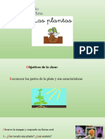 Las Plantas