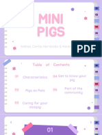 Mini Pigs: Andrea Camila Hernández & Karen Garcia