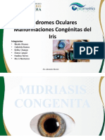 malformaciones congenitas del iris.. (1) (1) (1) (1) (1) (1) (1)