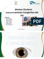 Malformaciones Congenitas Del Iris..