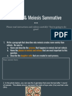  PA - Mitosis & Meiosis Summative 
