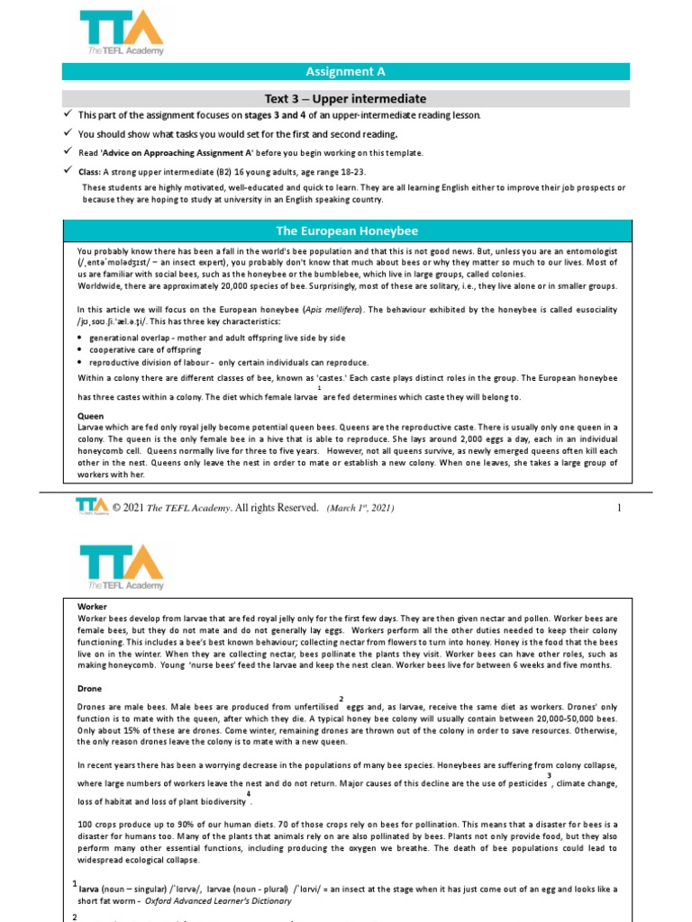 Text 3 - Upper Intermediate: Assignment A | PDF | Honey Bee | Eusociality