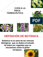 Introducción a la botánica farmacéutica y sus aplicaciones