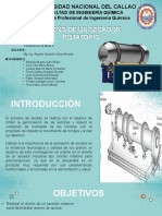 Secador Rotatorio - Grupo 2