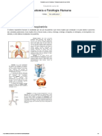 5. Sistema respiratório