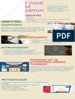 Infografía de Informe Final de La Investigación