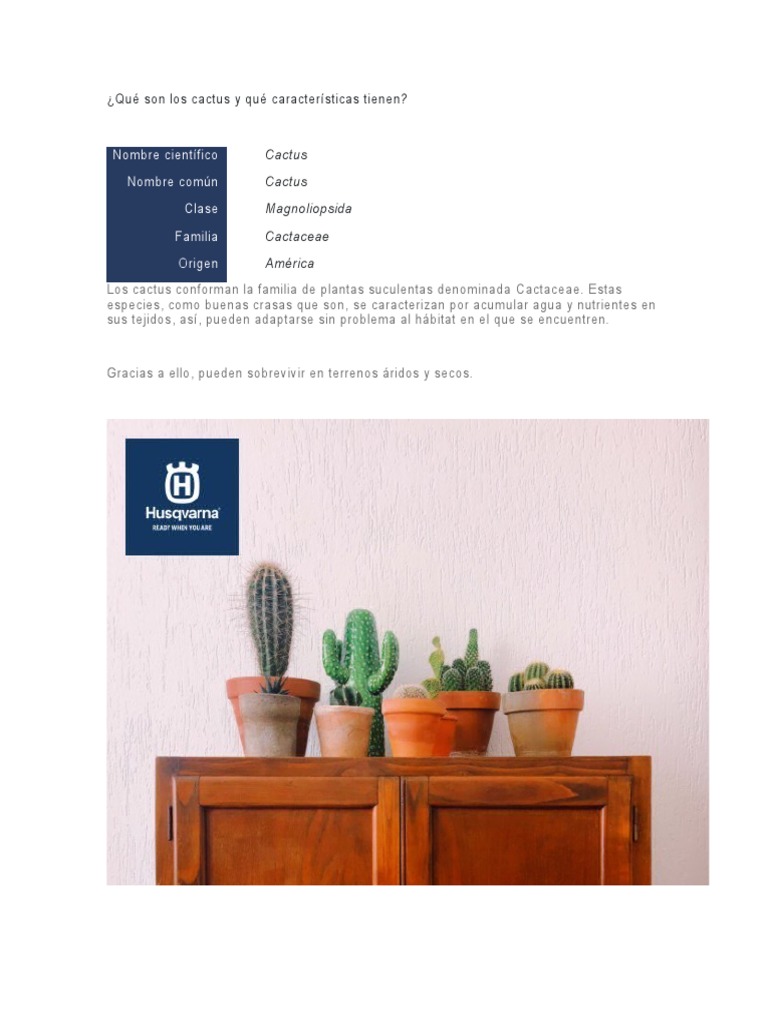 Características y tipos de cactus | PDF | Plantas | Organismos