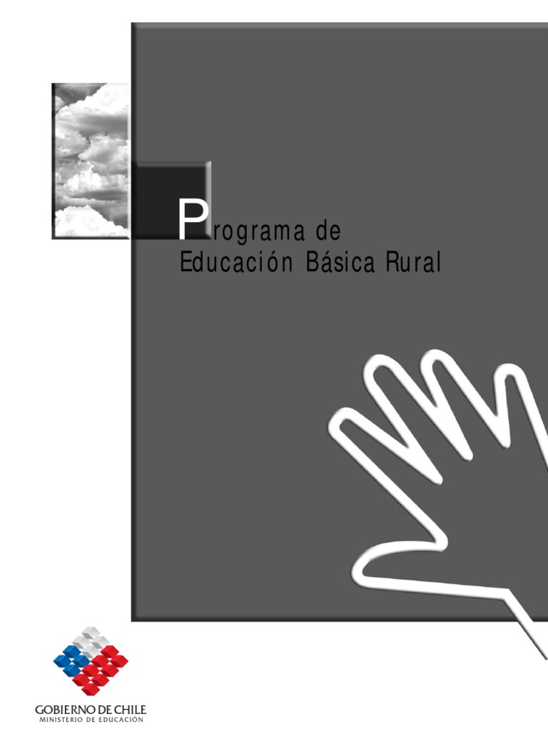 Educación Básica Rural en Chile: Estrategias y Desafíos | PDF | Plan de ...