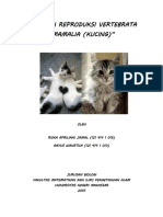 317941961 Makalah Reproduksi Kucing