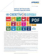 Objetivos Del Desarrollo Sostenible-Agenda 2030