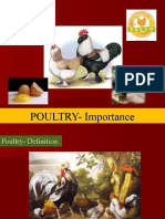 1-Poultry Importance