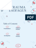 Trauma Esofagus