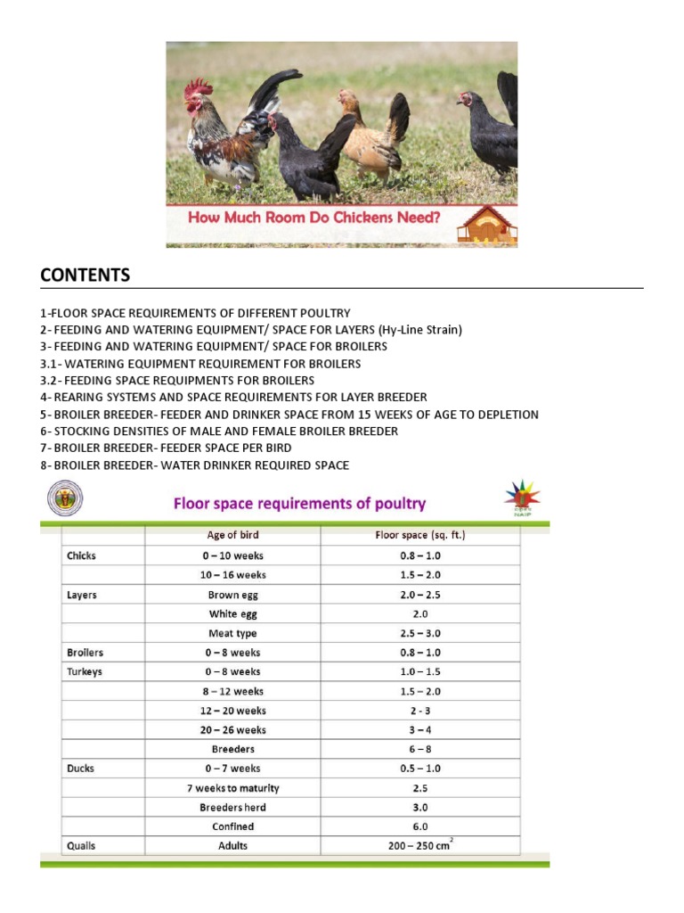 LAD1642020PPoultry Housing Space Requirements PDF Broiler