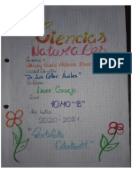 Actividades de Ciencias Naturales