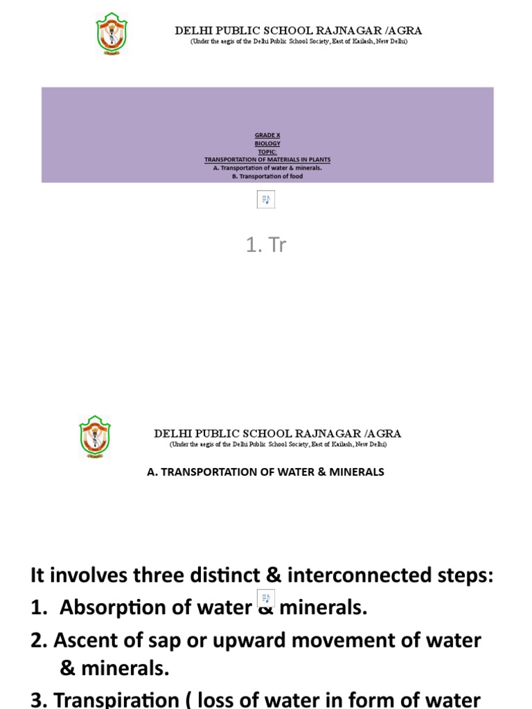 Transportation of Materials in Plants (Grade X) | PDF