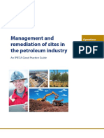 Management and remediation of sites in the petroleum industry