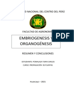 Embriogénesis y Organogénesis, Resumen