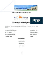ING T & D Summer Training Report