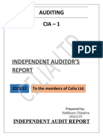 Auditing CIA 1